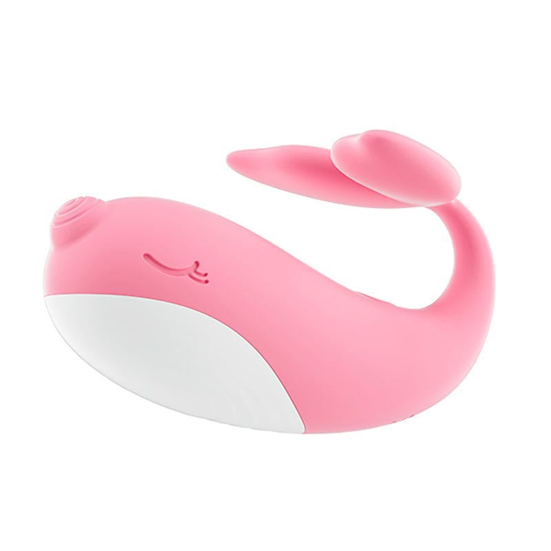 Galaku Little Whale APP Galaku Little Whale APP