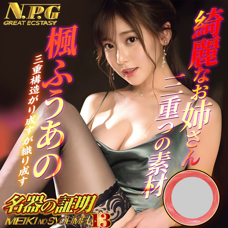 NPG No.13 Kaede Fua Realistic Vagina Masturbator Cup for Men – Mature Woman Edition NPG证明13枫富爱飞机杯男用成人倒模真实阴道熟女
