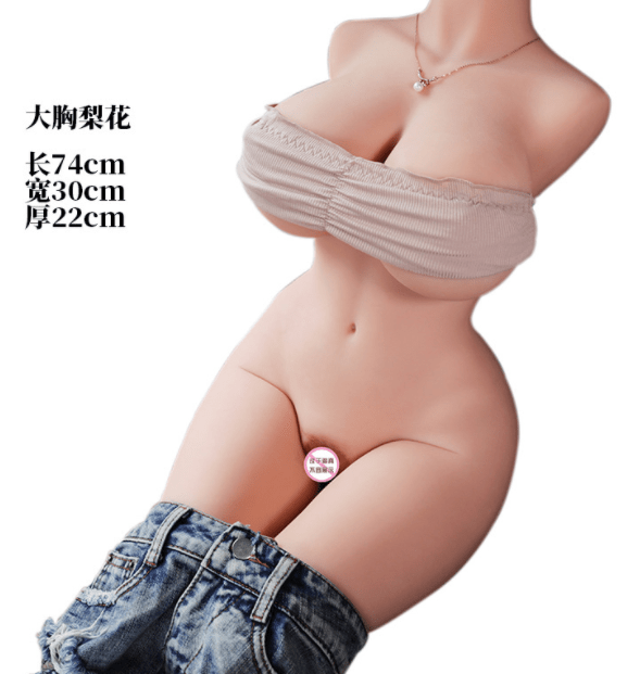 Aimi Half Body 17kg 适合他