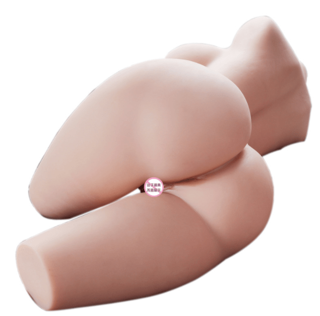 Aimi Half Body 17kg 适合他