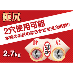 Japan FM Hashimoto 2.7kg Hip Masturbator Electric Oral Cup Adult Toy 日本 FM 桥本 3 公斤电臀飞机杯 电动口交杯