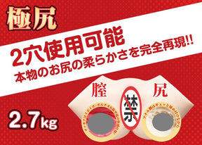 FM Hashimoto 2.7kg Portable Training Model | Dual-Channel Design | Durable Material