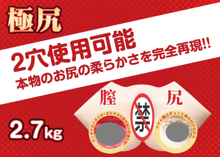 FM Hashimoto 2.7kg Portable Training Model | Dual-Channel Design | Durable Material