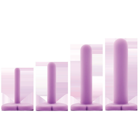 Blush Novelties Heart Key Anal Plug – 4 Sizes Progressive Expander for Beginners & Couples, 爱心蜜匙渐进式扩张器成人情趣用品