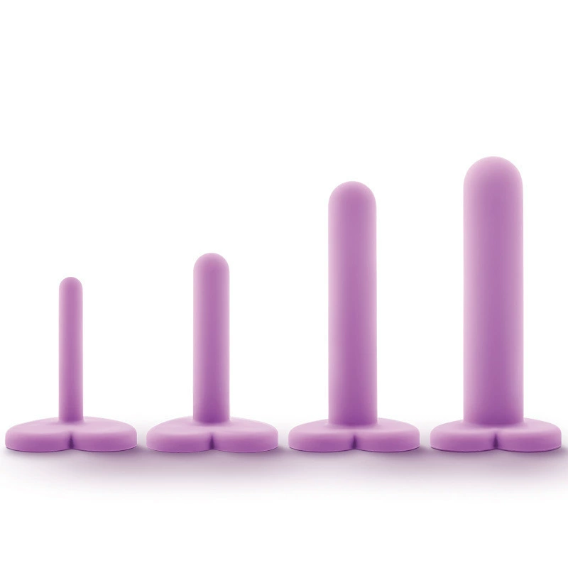 Blush Novelties Heart Key Anal Plug – 4 Sizes Progressive Expander for Beginners & Couples, 爱心蜜匙渐进式扩张器成人情趣用品