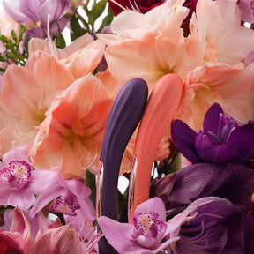 Lelo - Boomerang App-Controlled Dual Ended Vibrator Purple & Coral Red