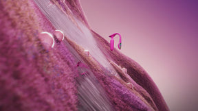 Lovense Lush Anal — App-Controlled Smart Vibrating Plug