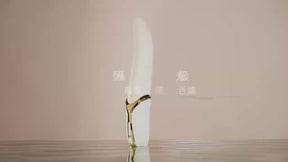 ZALO EVE TONGUE LICKING WOMEN VIBRATOR 舌舔口爱EVE震动棒女用按摩棒