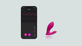 Lovense Flexer Bluetooth Insertable Dual Panty Vibrator 